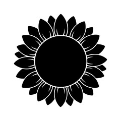 Sunflower bloom with transparent background