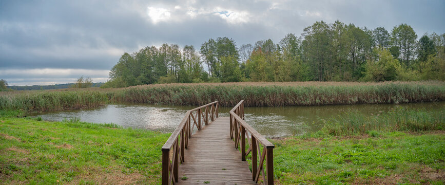 Morning by the river and forest. Autumn landscape