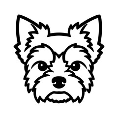 Yorkshire terrier head with transparent background