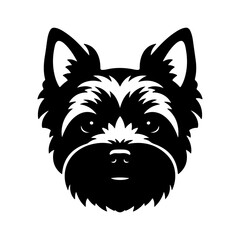 Yorkshire terrier head with transparent background