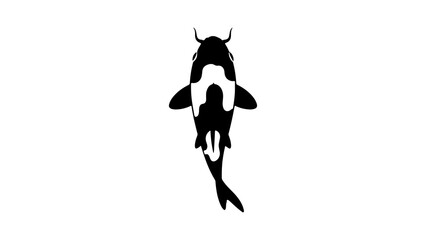 Koi fish silhouette with transparent background