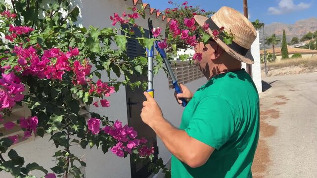 Plano medio de un jardinero podando un arbusto en casa mediterr&aacute;nea 4K