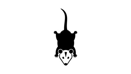 Opossum silhouette with transparent background