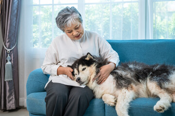 Elderly Asian woman gently hugging Siberian Husky dog on cozy blue sofa at home