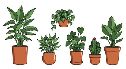 Fototapeta premium various potted plants arranged neatly in a group