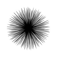 Obraz premium Radial burst with transparent background