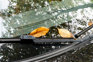 fallen leaves on the car windshield, selective focus. autumn background with yellow leaves and raindrops on glass