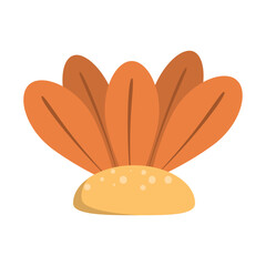Vibrant orange flower with layered petals against a soft background, symbolizing beauty and nature