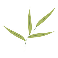 Delicate green leaves with intricate veins against a soft, blurred background, symbolizing nature