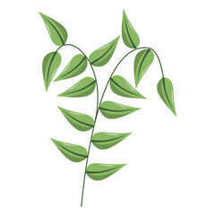 Lush green plant with elongated leaves gracefully arching against a minimalist white background