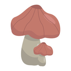 Illustration of two stylized mushrooms with smooth textures and soft colors on a white background