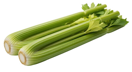Isolated fresh green celery stalks with leaves, vegetable, food, ingredient, stem, bunch