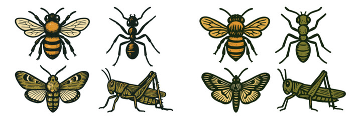 Assortment of common garden insects featuring bees, ants, moths, and grasshoppers in a stylized vintage design