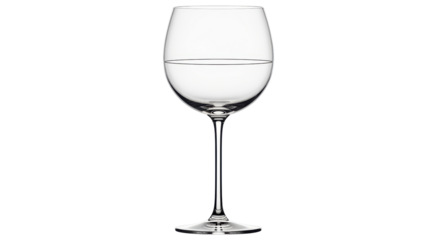 Isolated Wine Glass with Water