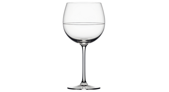 Isolated Wine Glass with Water