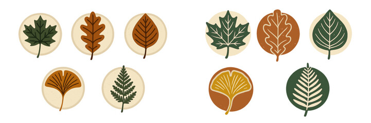 Diverse collection of stylized autumn leaves featuring maple, oak, ginkgo, and fern designs in earthy tones