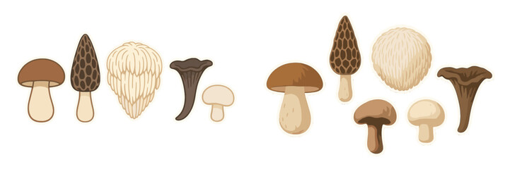 Diverse collection of edible wild mushrooms including morel, porcini, chanterelle, and lion's mane