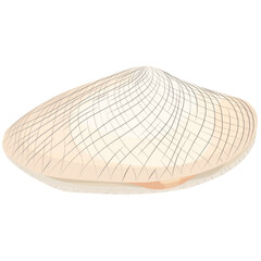 Vector of clam with slightly opened shell, perfect for seafood menus and culinary design.