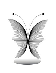 black and white butterfly