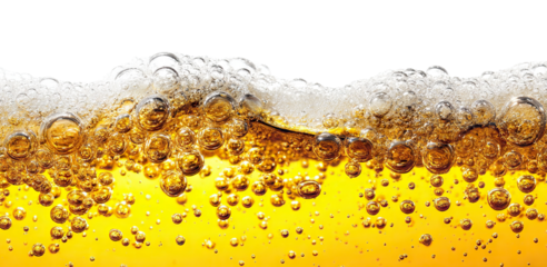 Fresh golden beer with foamy bubbles, isolated on transparent cutout background