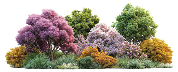 Set of blooming colorful garden bushes, isolated on transparent cutout background