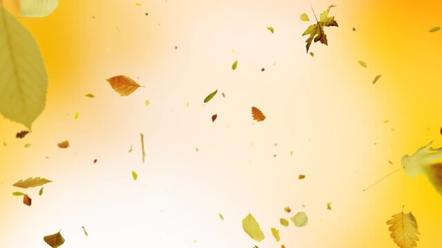 Falling Autumn Leaves Background Seamless Loop