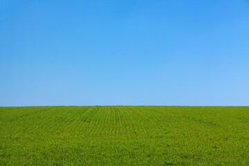 Green Grass Field Under Clear Blue Sky