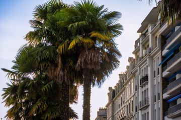 Sur le Boulevard des Pyrénées de Pau dans les Pyrénées-Atlantiques en France