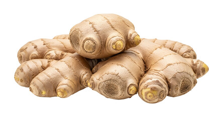 Isolated rhizomes of ginger root, a common spice used as food ingredient in Asian cuisine