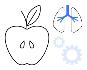 Apple with seeds, lung outlines with airways, and gears representing nutrition, respiration, and efficiency. Ideal for health, wellness, fitness, metabolism biology science and medical education