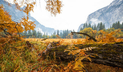 Autumn in Yosemite