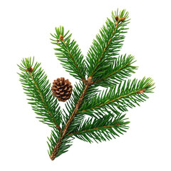 Green christmas fir tree branch png branch png fir tree png green png christmas png pine png foliage png holiday png transparent background