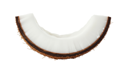 Isolated Slice of Coconut