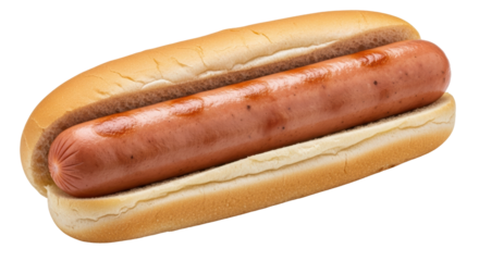Isolated Hot Dog in a Bun