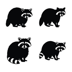 Raccoon silhouette vector icon black color and white background