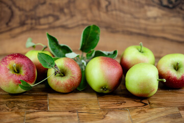 Zeit für die Apfelernte im Alten Land bei Hamburg
