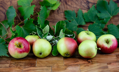 Zeit für die Apfelernte im Alten Land bei Hamburg