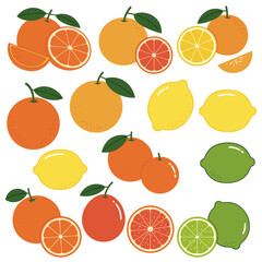 Colorful Citrus Fruits Vector Set: Oranges, Lemons, Limes, Grapefruits. Fresh Organic Produce Illustration