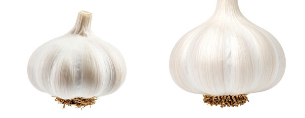 Wset of hole Garlic Bulb Close-Up, Front View, Isolated on Transparent Background