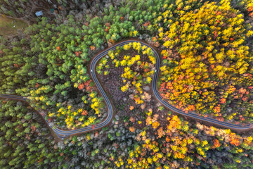 Car cruising on scenic road in Appalachian mountains at sunset. Trees glowing in vibrant fall foliage as the sun sets
