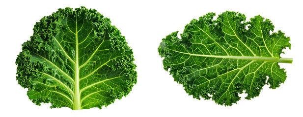  Fresh Kale Leaf Close-Up, Detailed Texture, Isolated on Transparent Background
