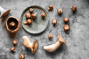 King Oyster Mushrooms, Portobello Mushrooms, brown Mushrooms, edible mushrooms on rustic gray background, flat lay top view