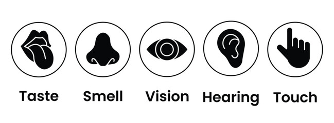 Human senses icon set. Vision eye, smell nose, hearing ear, touch hand, taste mouth with tongue. Simple line icons and black circle. Five senses of human nervous system. Vector illustration