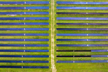 View from above of photovoltaic power plant with many rows of solar panels for producing clean electrical energy. Concept of renewable electricity with no air pollution