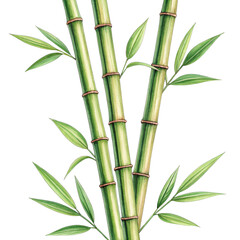 Illustration hand drawn bamboo sticks png bamboo png sticks png hand drawn png illustration png nature png transparent background