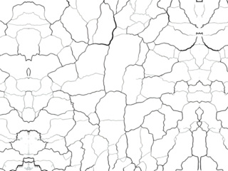 Cracked white wall texture with peeling paint and visible fractures creating abstract pattern and damage, showing aged surface with rough details and distressed appearance in close up view