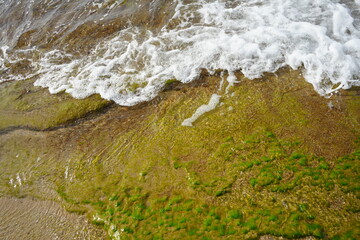 Scenic view of coastal algae and ocean foam on rocky shore in Benidorm, Spain.