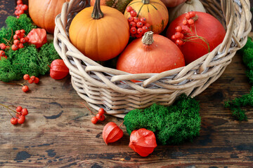 Beautiful pumpkins, moss and physalis on wooden table. Seasonal autumn decorations.