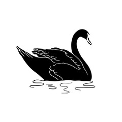 Monochrome hand drawn elegant swan silhouette swimming in water design element