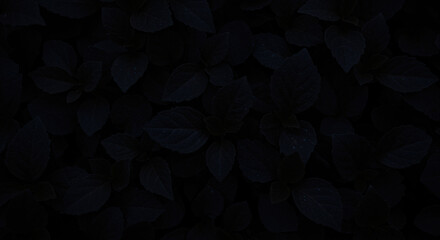 Deep Indigo Foliage Background with Dense Overlapping Leaves and Subtle Textures for Natural and Serene Visuals in Dark Tones and Botanical Themes